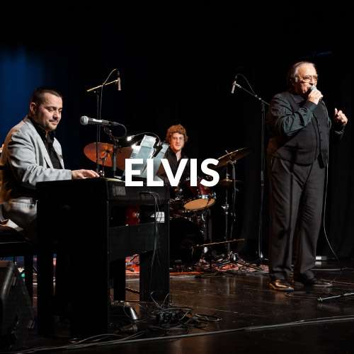 Izvajalci-GIG-Elvis